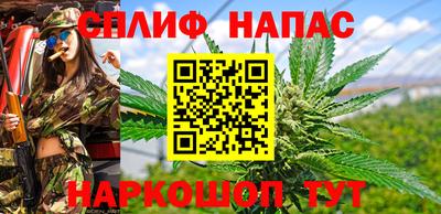 прущие грибы Новодвинск