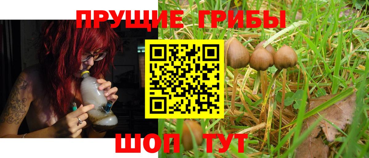 Галлюциногенные грибы мухоморы Трёхгорный