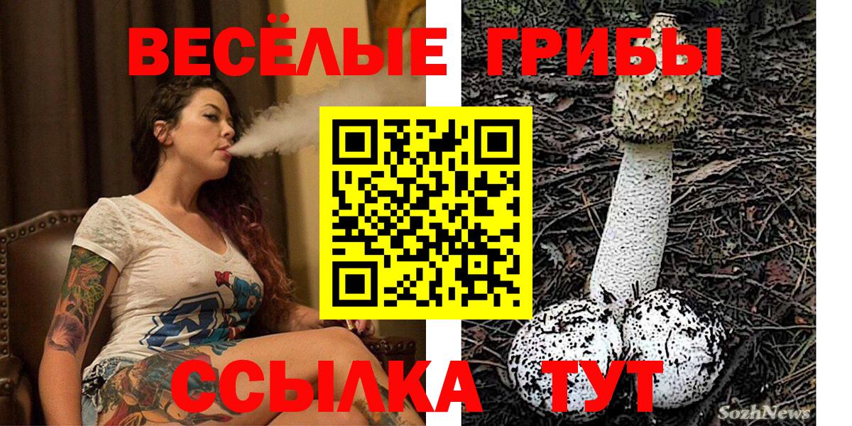 Трёхгорный  Псилоцибиновые грибы Cubensis  Вход с VPN 